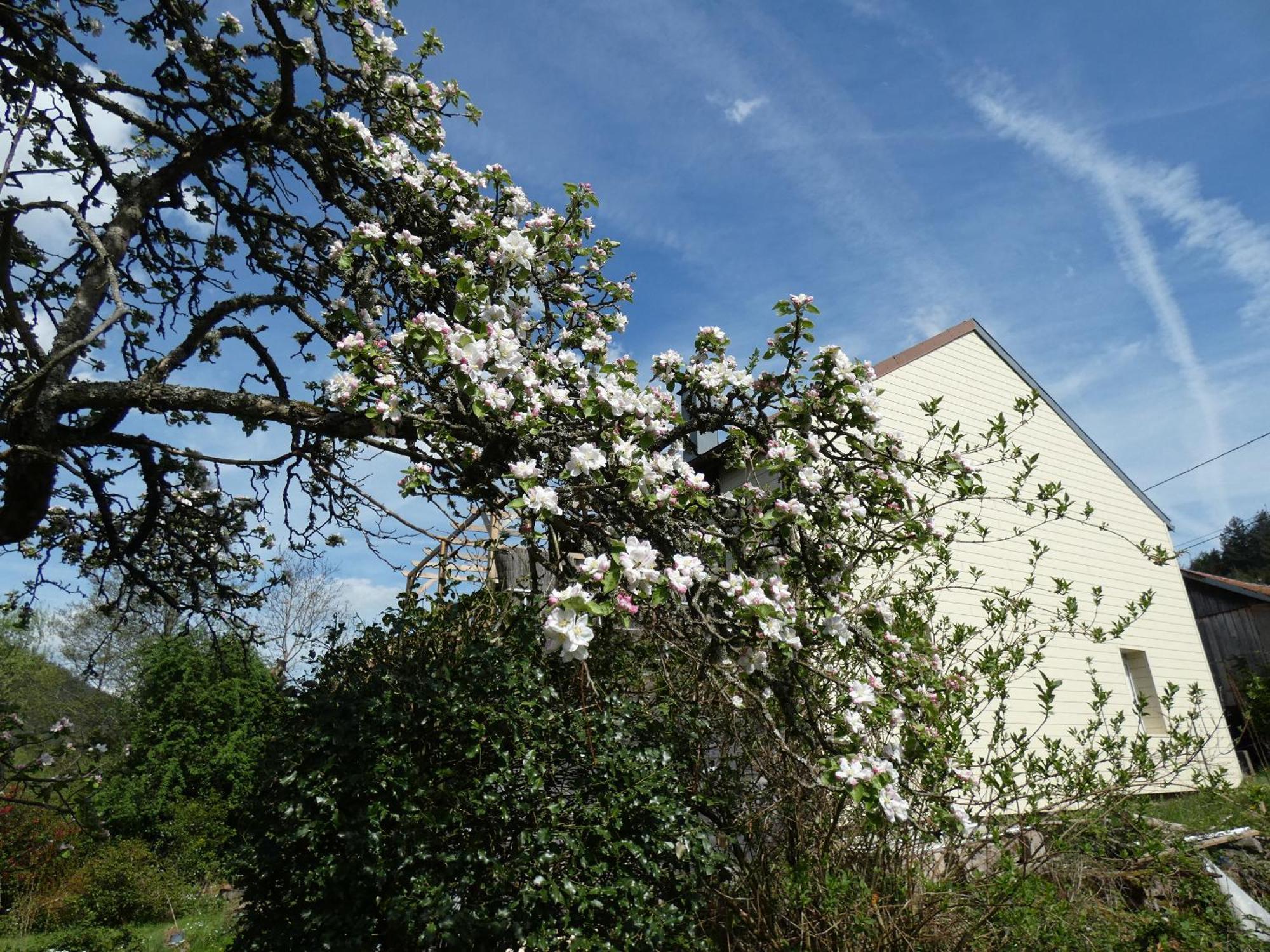 Au Val Des Meuris Acomodação com café da manhã Taintrux Exterior foto
